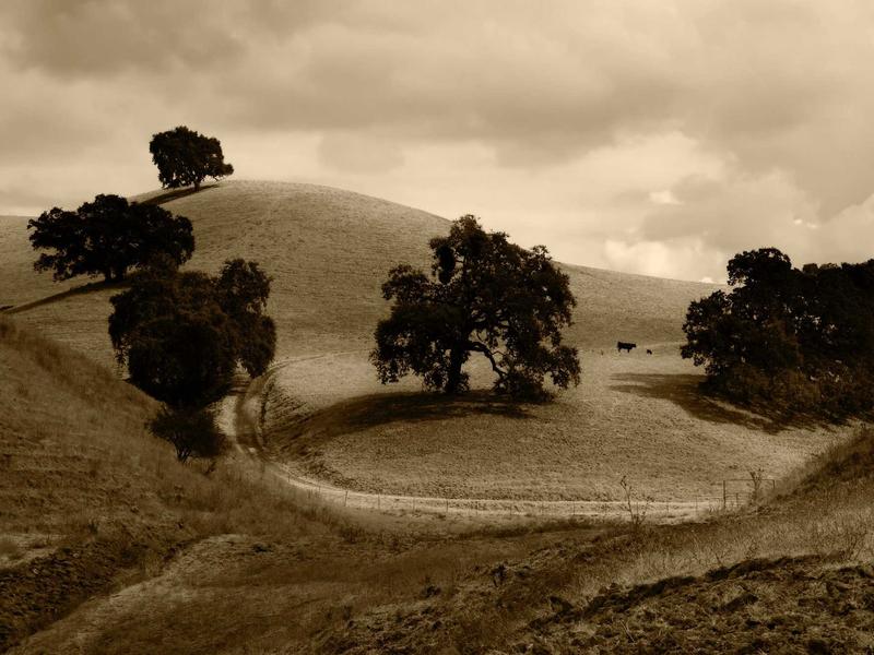 sudoku world championship